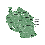 Talii na Sisi